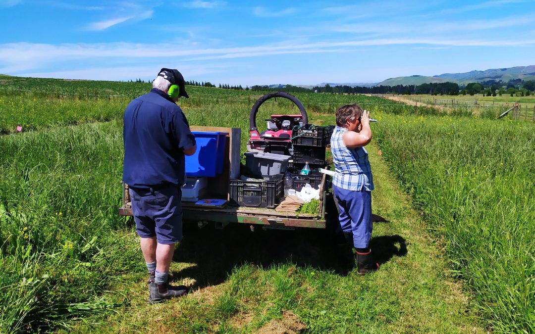 Measuring dry matter production on plots